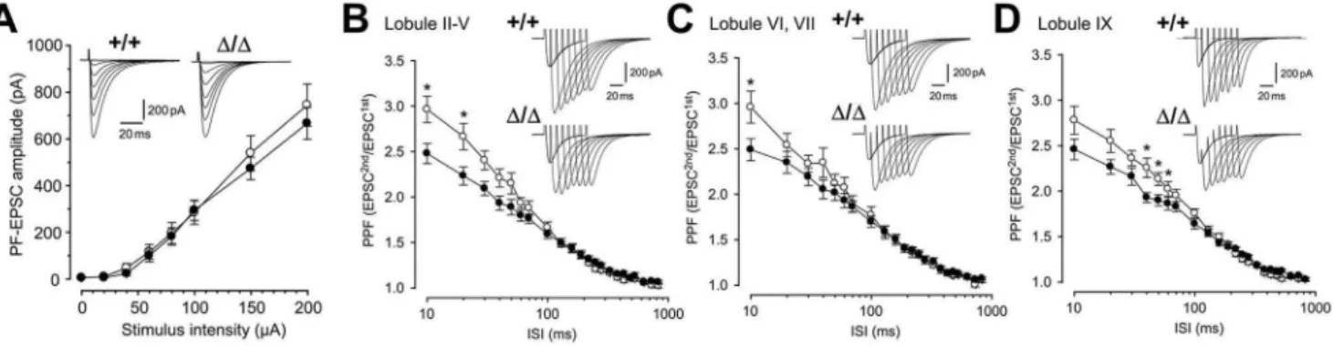 Figure 7. Impairment of short-term synaptic plasticity at PF-PC synapses in the CAPS2 Dex3/Dex3 mouse cerebellum