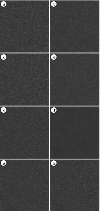 Figure 7. A homogenous water area; a) the original Radarsat-2  image and the results of its filtration, using: b) Median filter, c)  Frost filter, d) Lee-sigma filter, e) Gamma-MAP filter, f) SAF,  g) MSE filter, h) MSE filter by reconstruction; filter win