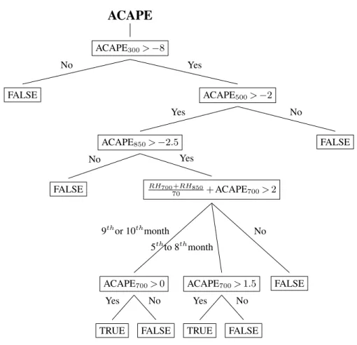 Fig. 2. Schematic diagram of ACAPE.