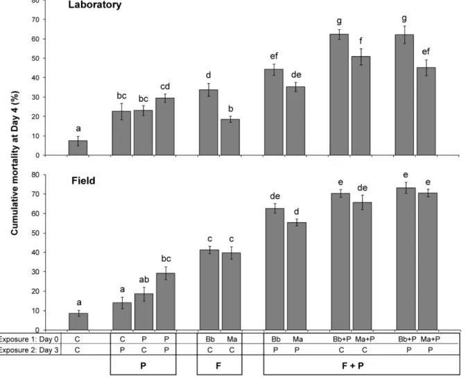 Figure 5. Impact of co-exposure on kdr mosquito survival. Efficacy of fungus-insecticide combinations against laboratory-reared VKPer (top) and field-collected Anopheles gambiae s.s