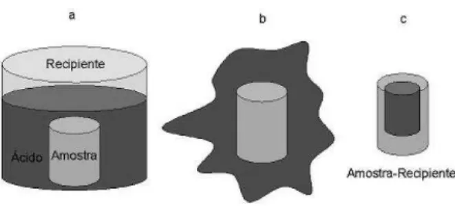 Figura 1 - Ilustra¸c˜ ao do uso do m´etodo da solu¸c˜ ao ideal para o problema da amostra, o ´ acido e o recipiente (exemplo 6).