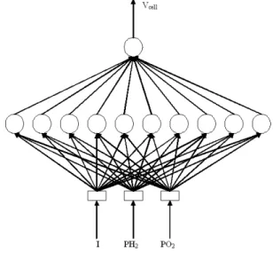 Fig  2  shows  the  architecture  of  the  developed  neural  network model. The ANN network has an input layer with  3  inputs  (partial  pressures  of  hydrogen  P H 2 ,  partial  of  oxygen P O 2  and  cell  operating  current  I stack  )  ,  1  hidden 