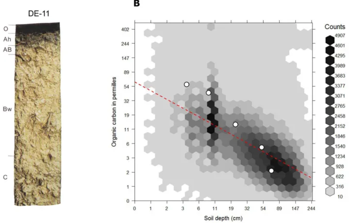 Figure 5. Individual soil profile from the ISRIC soil monolith collection (a) and globally fitted regression model for predicting soil organic carbon using depth only (b)