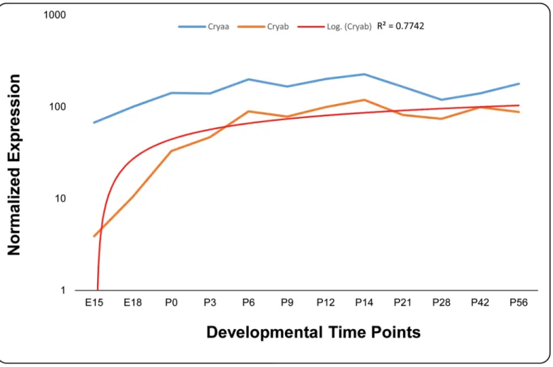 Fig 6. Expression profile of alpha-crystallin in developing mouse lens. The expression of Cryaa (blue) and Cryab (orange) at different developmental time points was normalized to Gapdh