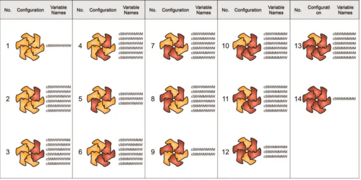 Figure 1. Possible configurations of subunits originating from different alleles. The subunits encoded by allele 1 (e.g