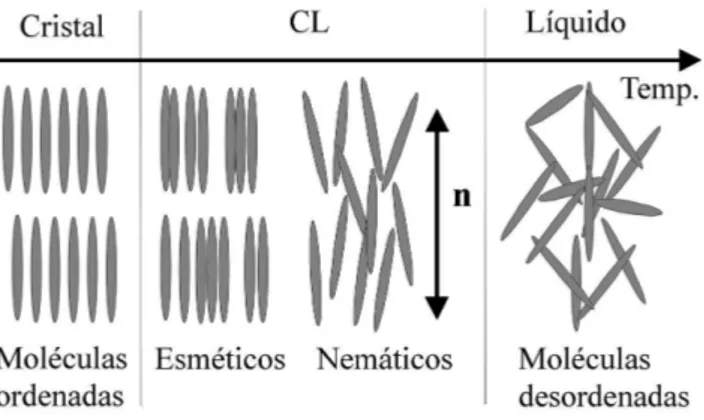 Figura 1 - Esquema ilustrativo do aparecimento das mesofases l´ıquido-cristalinas, a varia¸c˜ ao da temperatura pode aumentar o grau de desordem.