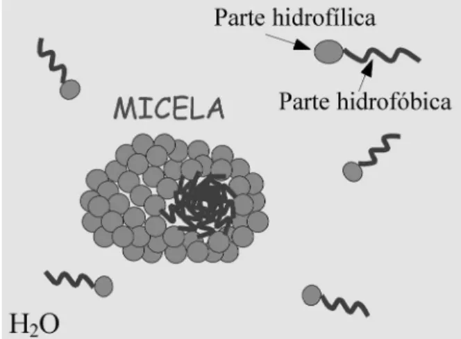 Figura 2 - Exemplos de mol´ eculas de CLs termotr´ opicos. (a) mol´ ecula alongada com dimens˜ oes t´ıpicas de 20 ˚ A x 5 ˚ A; (b) mol´ ecula achatada ou em forma de disco.