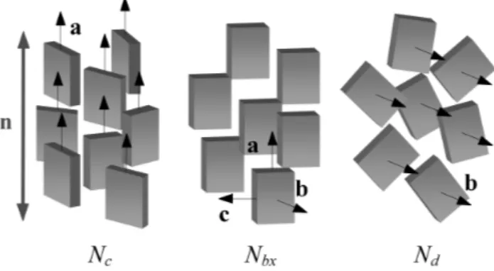 Figura 4 - Representa¸c˜ ao das mesofases nem´ aticas de um CL lio- lio-tr´ opico, atrav´ es das flutua¸c˜ oes de orienta¸c˜ ao em torno do eixo de simetria, onde n representa o vetor diretor