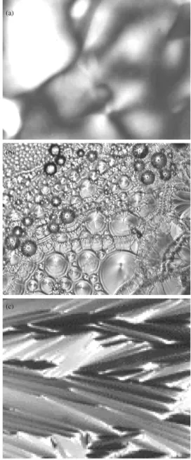 Figura 7 - Texturas l´ıquido-cristalinas t´ıpicas, observadas em um microsc´ opio ´ optico de luz polarizada