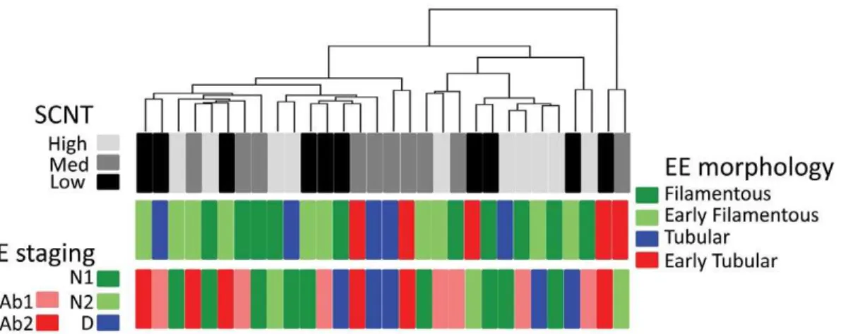 Figure 7. KLF4 and ACVR2A discriminate among normal and abnormal SCNTs. A) Box plots of KLF4 and ACVR2A expression in normal and abnormal SCNTs