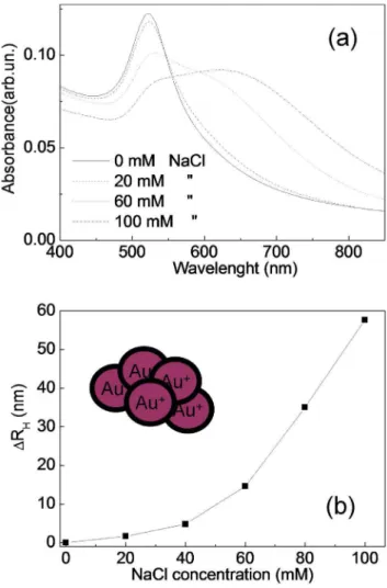 Figure 1. UV-Vis spectra of AuNPs aggregated with different NaCl concentrations (a). Hydrodynamic radius difference between  aggregat-ed and as-preparaggregat-ed nanoparticles measuraggregat-ed with DLS as a function of NaCl concentration (b).