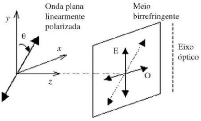 Figura 1 - Esquema ilustrativo de uma frente de onda plana li- li-nearmente polarizada incidindo em um meio birrefringente com ˆ