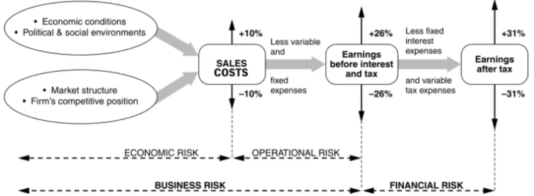 Figure 1 - Sources of Risk that affect Profit (adapted from (Hawawini &amp; Viallet, 2015)) 