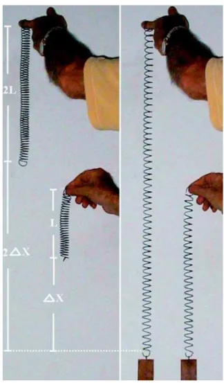 Figura 1 - Gr´ afico da for¸ca deformadora na espiral vs. a leitura da escala.