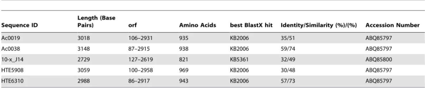 Figure 1. Conserved active site motifs of the ketoacyl synthase domain from different evolutionary distinct supergroups