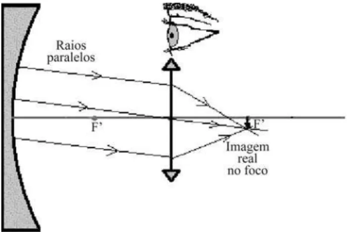 Figura 7 - A lente do nosso olho conjuga uma imagem real, invertida do nosso rosto na retina.
