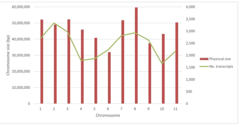 Fig 2. Number of transcripts and their distribution along of eleven chromosomes of common bean.