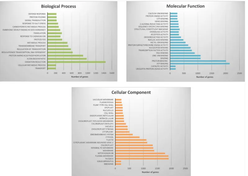 Fig 3. Histogram representation of GO classification. Transcripts of developing pods were annotated in three categories: biological processes (3a), molecular function (3b) and cellular components (3c).