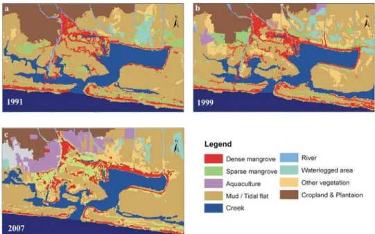 Fig. 2. Land-use Land cover map 1991-2007 from the  Muthupet mangrove system, Southeast coast of India 