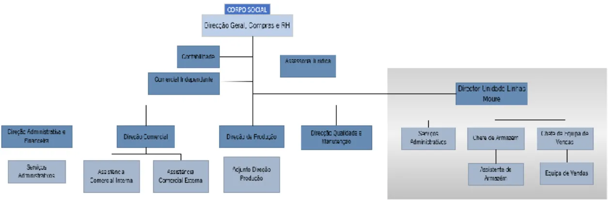 Figura 8: Estrutura organizacional da Liconfe, S.A. 
