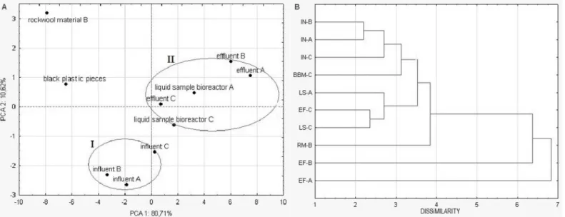 Fig 7. A—Dendrogram of the metabolic fingerprints of tested microbial communities by cluster analysis of grouped Eco data set