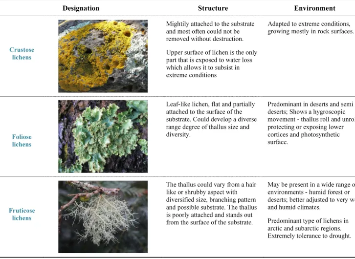 Table  1  summarizes  the  most  important  morphological  characteristics  of  crustose,  fruticose  and foliose lichens previously referred
