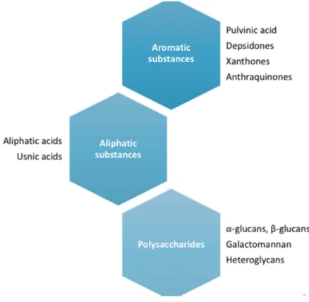 Figure 1. Lichens main bioactive metabolites classification according to Dayan and Romagni (2001)