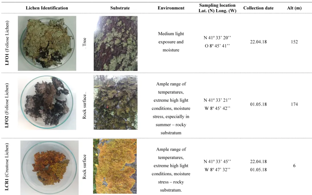 Table 2.  Lichens used in this work, with respective photographic record, identification and data regarding collection site 
