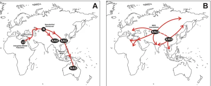 Fig 1. Geographic dispersal routes of (A) AMH out of Africa migration, and (B) secondary worldwide human expansions, deduced from the age and geographic localization of L3 and N(xR) mtDNA haplogroups including Lineages O and S from Australia