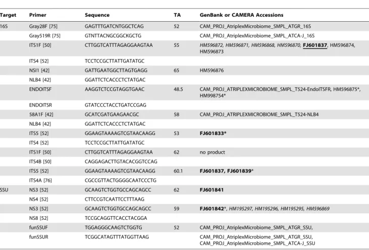 Table 1. Primers and annealing temperatures (TA) utilized for amplification of endophyte DNA from total DNA extracted from micropropagated plant tissues and/or isolates.