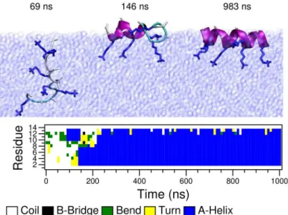 Fig 5. Time evolution of secondary structure of a single AK (in-silico mutated form of LK) peptide at the vacuum/water interface