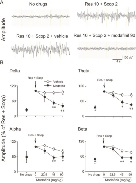 Figure 1. Modafinil decreased EEG amplitude in the synchronized model. (A) Examples of raw cortical EEG activity in untreated mice (no drug), after combined reserpine (Res; 10 mg/kg, i.p.) and scopolamine (Scop; 2 mg/kg, i.p.) treatment, and after addition
