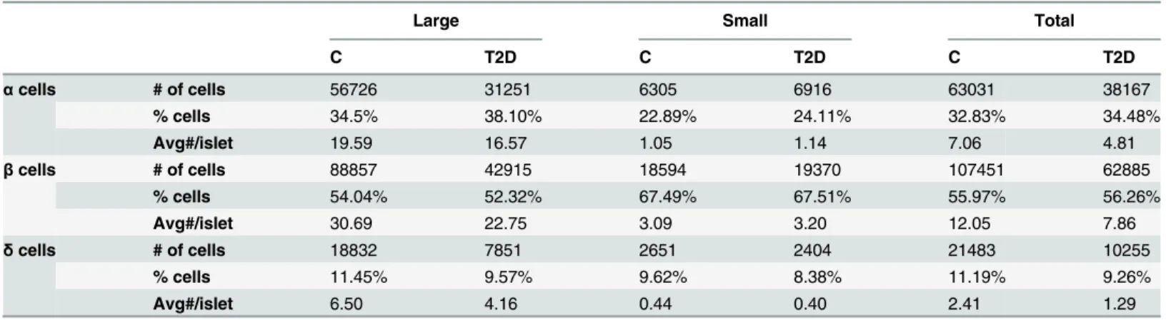 Table 2. Quantifications of the number of α, β, and δ cells found in large and small islets for Control (C) and T2D islets.