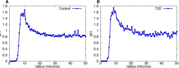 Fig 3. Pair distribution functions for large-islet β-cell graphs provide evidence that cell distances between 8 and 13 microns are non-random