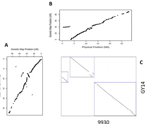 Fig 3. Genetic and physical map comparison for chromosome 5. Scatter plots of marker positions on the genetic map against the positions of the genome reference of both (A) ‘ 9930 ’ and (B) ‘ Gy14 ’ 