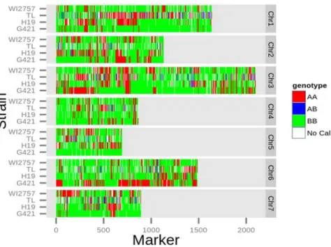 Fig 6. Application of cucumber genotyping array to four cucumber accessions. Genomic DNA of four cucumber accessions — H19, TL, G421, and WI 2757 — was hybridized on the cucumber array
