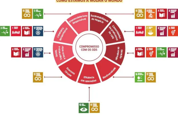 Figura 9: Os objetivos de desenvolvimento sustentável  Fonte: Relatório de sustentabilidade da Delta 
