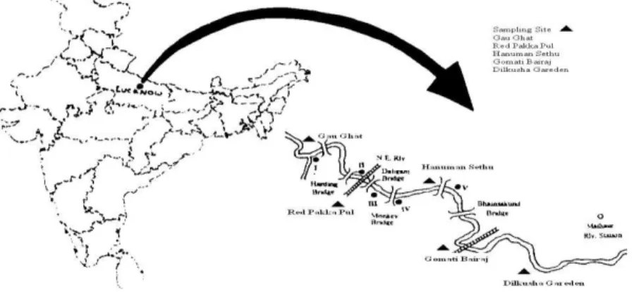 Fig 1. Map showing the River Gomati and the sample site, India 