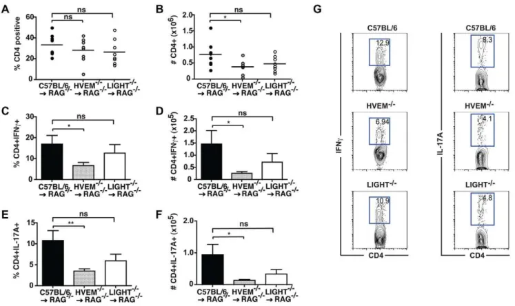 Figure 4. HVEM expression is required for the expansion and differentiation of CD4 + T cells during intestinal inflammation.