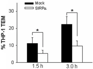 Figure 3. SIRPa overexpression in THP-1 cells decreases MCP- MCP-1–stimulated adhesion