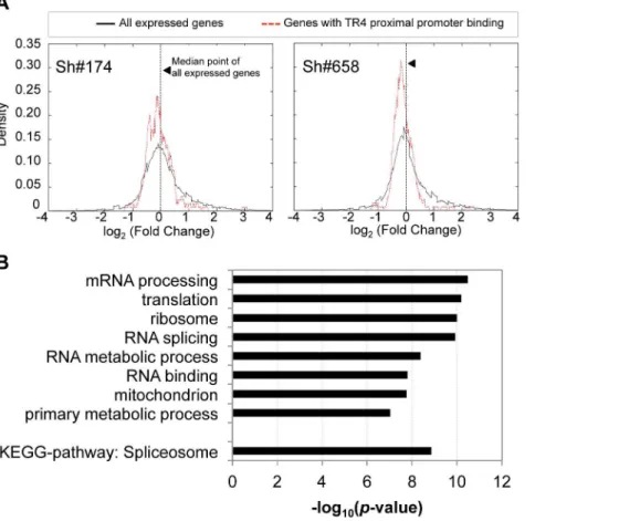Figure 4. De novo motif analysis of TR4 peaks located at the proximal promoter. Motif analysis of peak sequences (250 bp from peak center) identifies DR1 (A) and ETS (B) motifs as overrepresented among the peaks located at the proximal promoter in D14 eryt