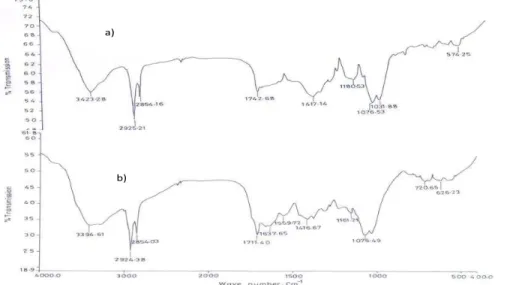 Fig. 9. FTIR of  Rhizomucor tauricus  a) before treatment, b) after treatment with Ni(II) 
