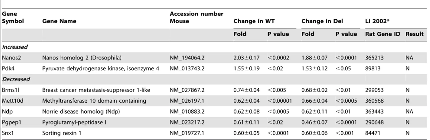 Table 1. Genes with changed transcript levels after fasting in wild type (WT) and Snord116del (Del) hypothalami of postnatal day 5 mice.