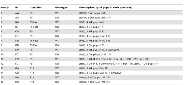 Figure S1 Body weight of pups used for hypothalamic gene expression study. Horizontal bar, average weight