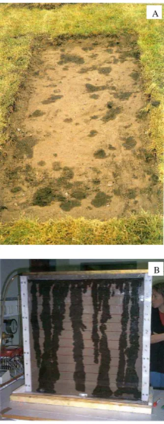 Fig. 8. Fingered flow phenomena in situ and in laboratory experiments. (A) Finger flow in water-repellent sandy soil with permanent grass: 24 h after intensive irrigation the grass layer was removed