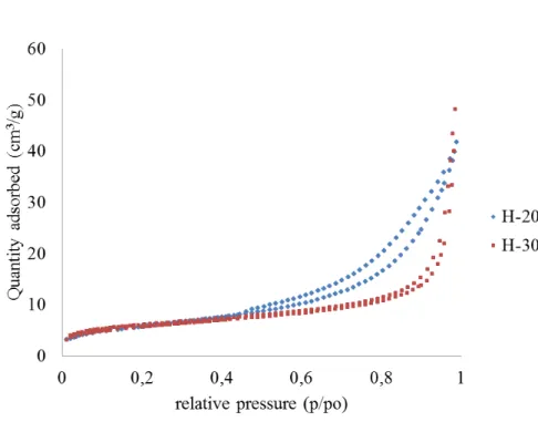 Fig. 4. Nitrogen adsorption and desorption isotherms for H-200-6 and H-300-6.
