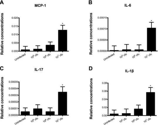 Figure 2. Clostridium difficile infection modulates colonic gene expression in mice. Colonic expression of monocyte chemotactic Protein 1 (MCP-1) (A), interleukin 6 (IL-6) (B), interleukin 17 (IL-17) (C) and interleukin 1b (IL-1b) (D were assessed by real-