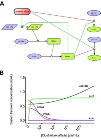 Figure 5. Impact of the loss of PPARc in T cells and pharmacological activation of PPARc colonic inflammatory lesions in Clostridium difficile -infected mice