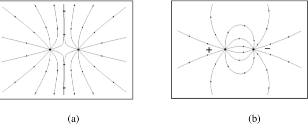 Fig. 2.4 mostra dois ampos el etrios representados por