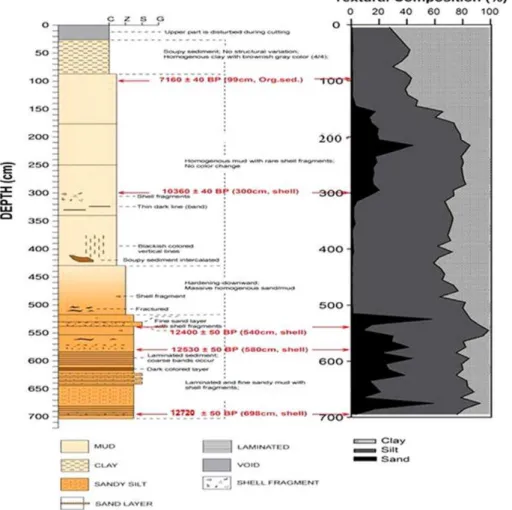 Fig. 2. Schematic lithologic pattern with description and calibrated ages with depth of core 11YS PCL14.